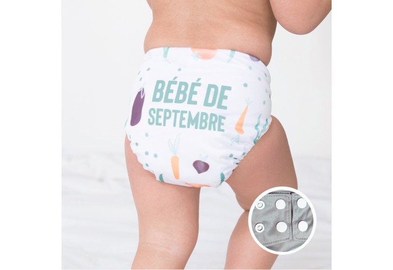 La Petite Ourse- Couche du mois- Septembre-Snap